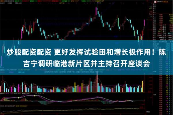 炒股配资配资 更好发挥试验田和增长极作用！陈吉宁调研临港新片区并主持召开座谈会