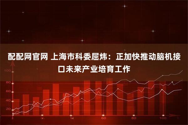 配配网官网 上海市科委屈炜：正加快推动脑机接口未来产业培育工作