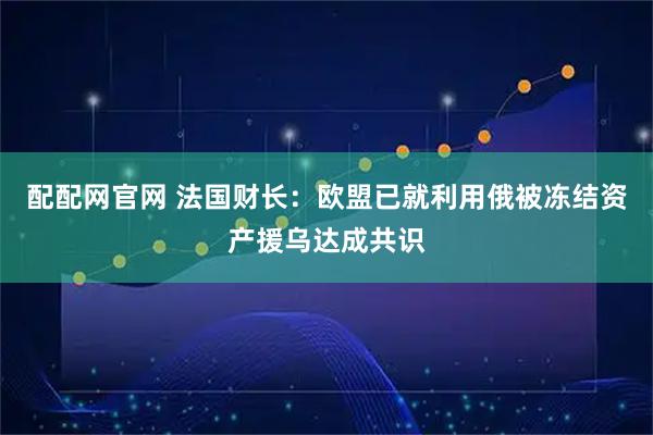 配配网官网 法国财长：欧盟已就利用俄被冻结资产援乌达成共识