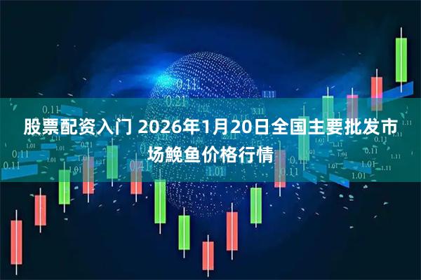 股票配资入门 2026年1月20日全国主要批发市场鮸鱼价格行情